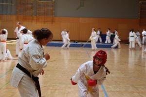 IMG7482